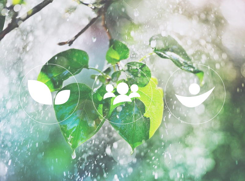 Lyreco eco labels mood image with leaves and rain