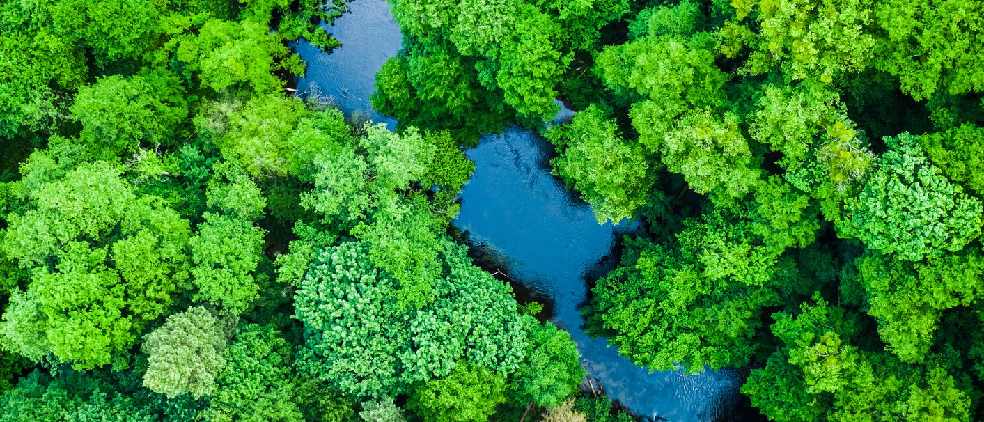 Fluss durchläuft grünen Wald