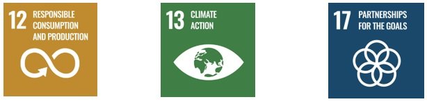 SDG banner - 3 Commitment