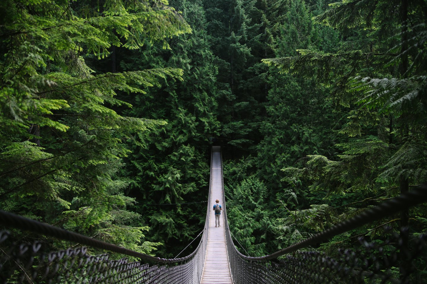 Człowiek na wiszącym moście w lesie