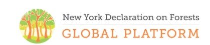 Lyreco unterstützt die New York forest declaration